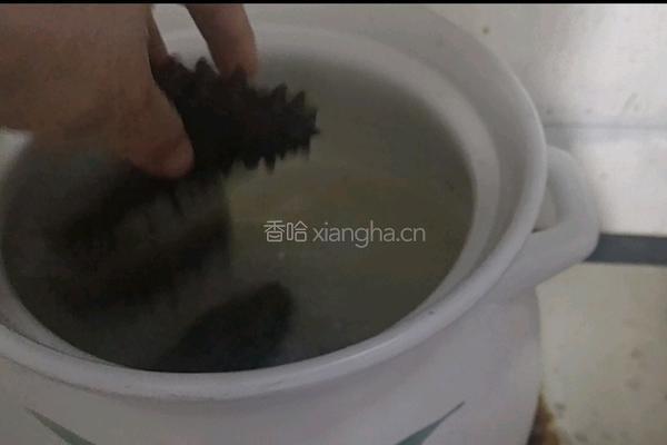 海参鲍鱼炖排骨的做法图解5
