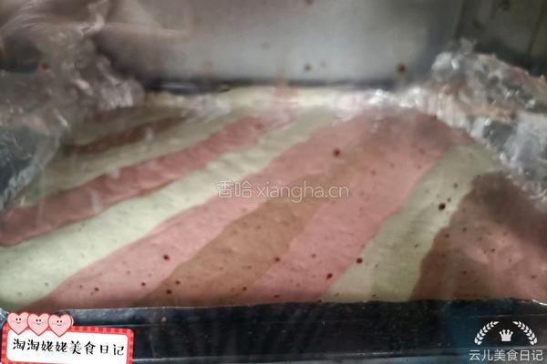 无油毛巾蛋糕卷的做法图解14