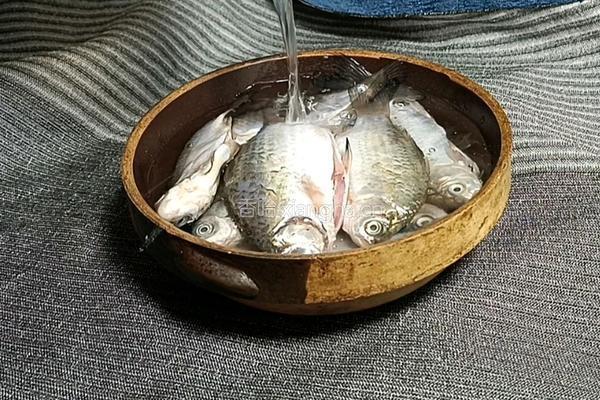 麻辣小鲫鱼的做法图解2