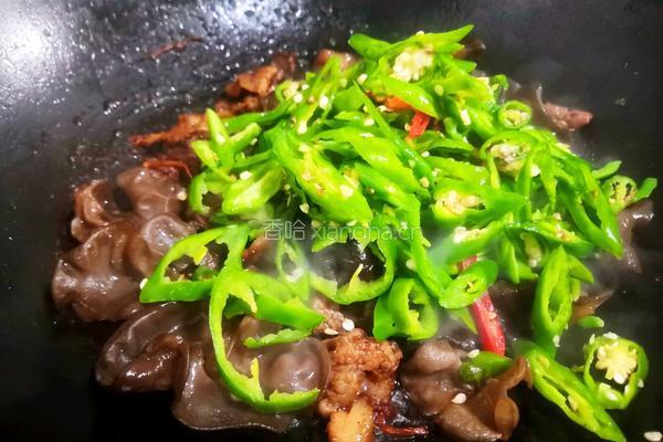 木耳辣椒炒肉的做法图解6