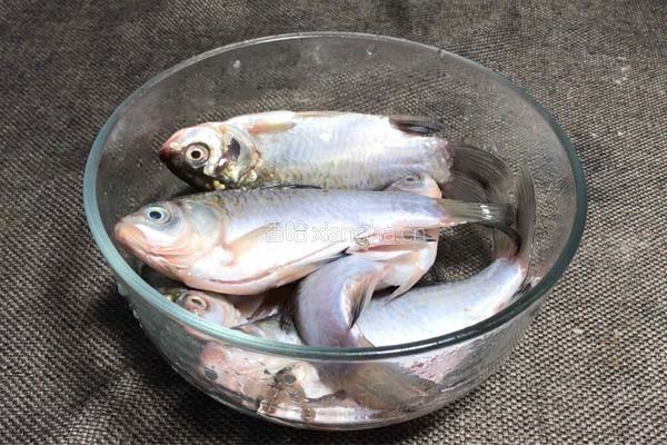 麻辣酥骨鱼的做法图解2