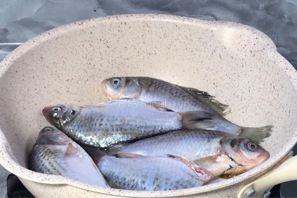 麻辣酥骨鱼的做法图解4