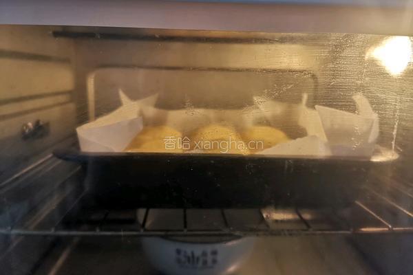 淡奶油小餐包的做法图解9