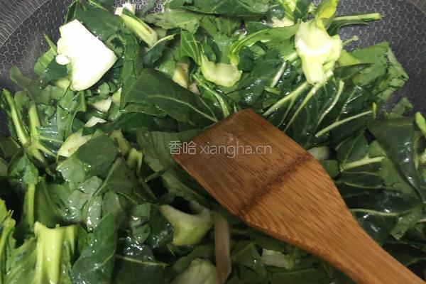 青菜焖平菇的做法图解2