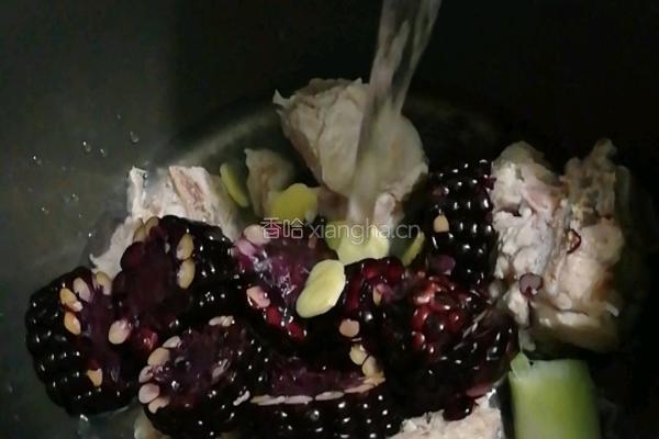黑玉米猪骨汤的做法图解4