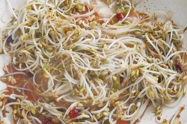 酸辣绿豆芽的做法图解6