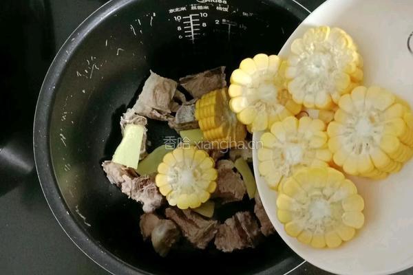 玉米萝卜排骨汤的做法图解6