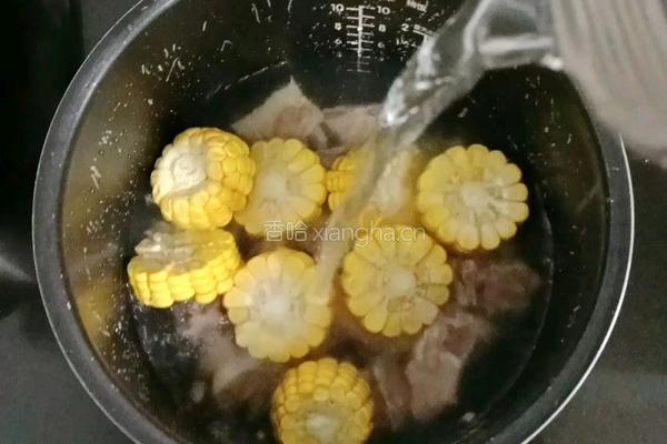 玉米萝卜排骨汤的做法图解7