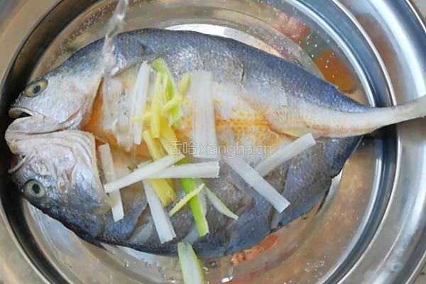 锅塌黄花鱼的做法图解3