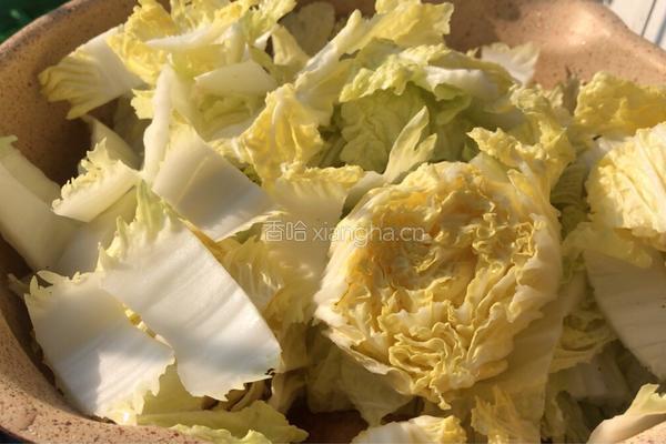 白菜炖豆渣的做法图解10