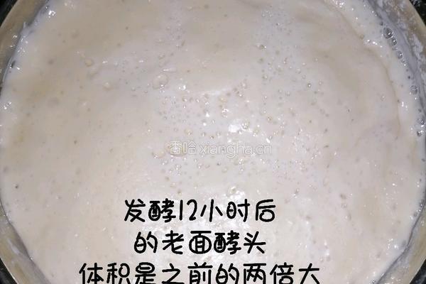醪糟老面馒头的做法图解3