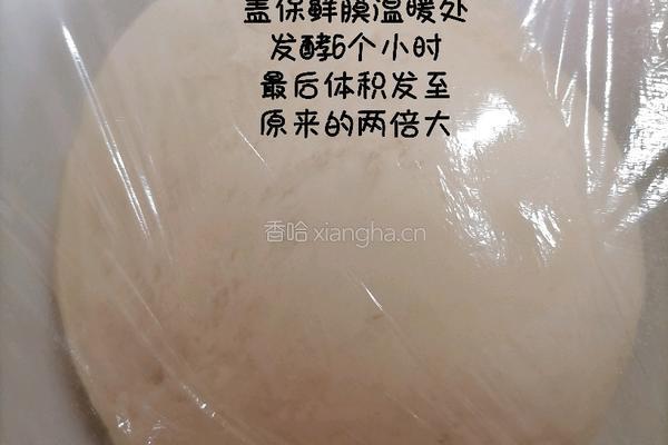 醪糟老面馒头的做法图解5