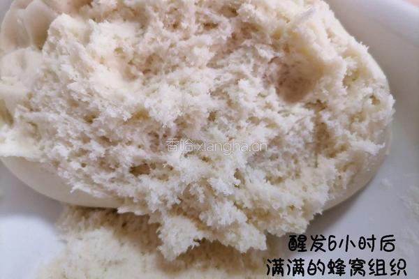 醪糟老面馒头的做法图解6