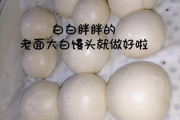 醪糟老面馒头的做法图解15