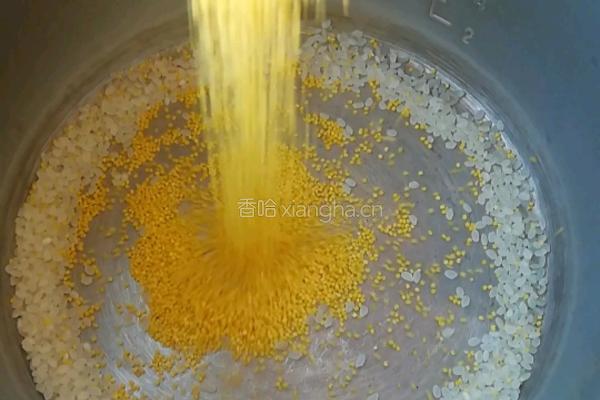 南瓜粥的做法图解1