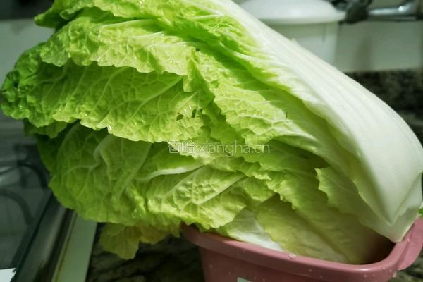 冬天里的酸白菜的做法图解1