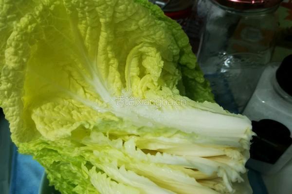 冬天里的酸白菜的做法图解2