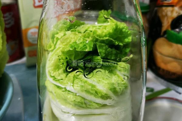 冬天里的酸白菜的做法图解4
