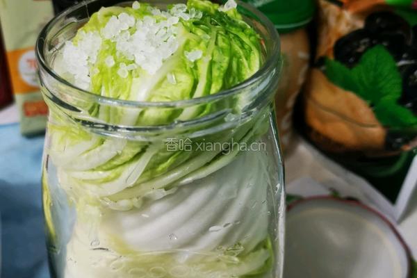 冬天里的酸白菜的做法图解5
