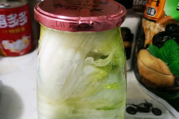冬天里的酸白菜的做法图解6