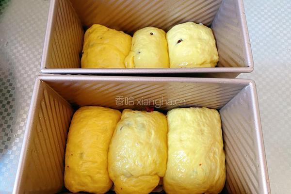 自制南瓜吐司面包的做法图解7