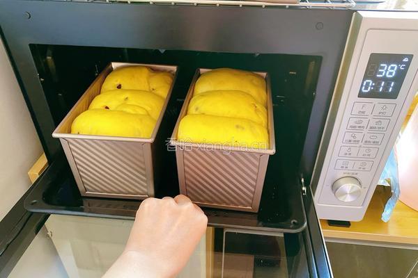 自制南瓜吐司面包的做法图解8