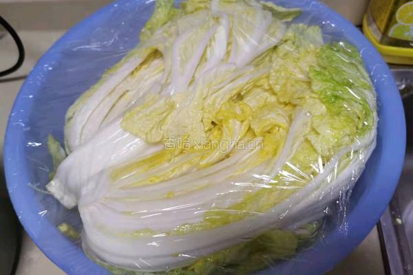 辣白菜的做法图解1