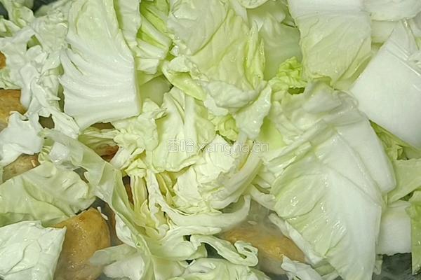 白菜炖肉圆子的做法图解6