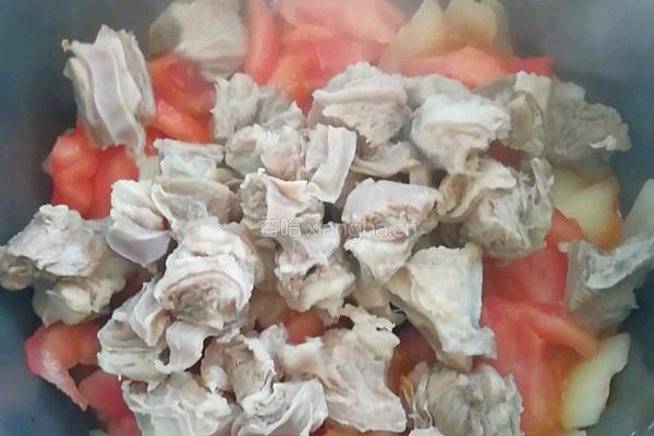 西红柿炖牛腩的做法图解6