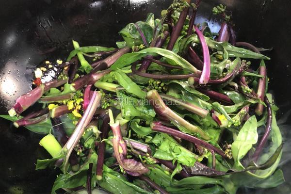 麻辣红菜苔的做法图解5