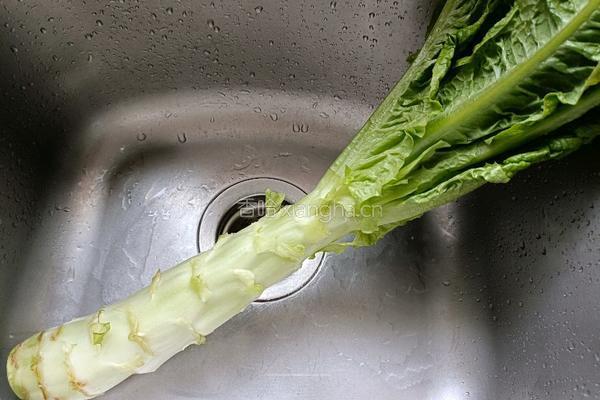 莴笋炒黄豆芽的做法图解1