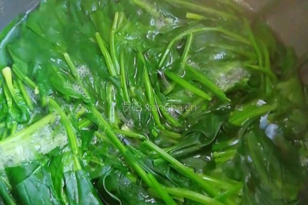 麻酱菠菜的做法图解1