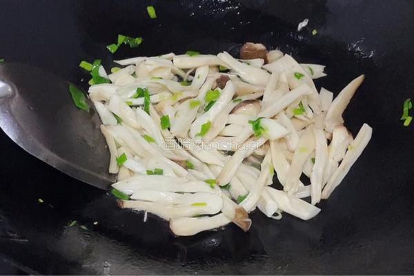 手撕杏鲍菇的做法图解4