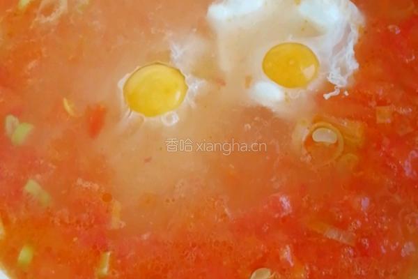 西红柿疙瘩汤的做法图解4