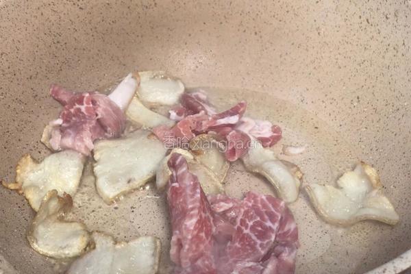洋葱平菇炒肉的做法图解5