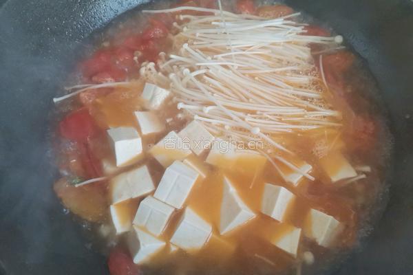 番茄金针菇豆腐汤的做法图解8