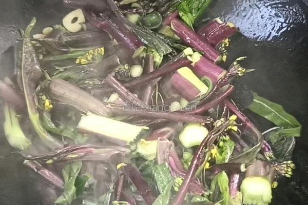 醋溜红菜苔的做法图解4