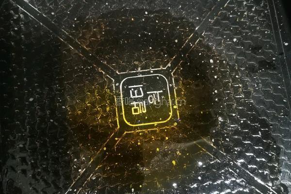 牛板筋炒饭的做法图解2