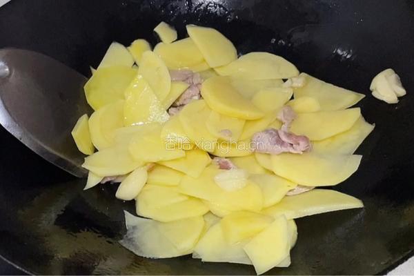 红烧土豆片的做法图解4