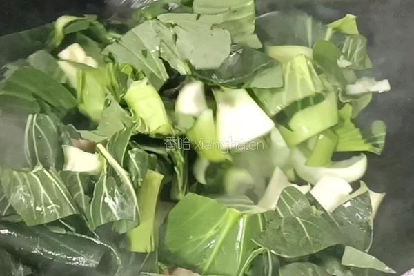 口蘑豆腐炖白菜的做法图解10