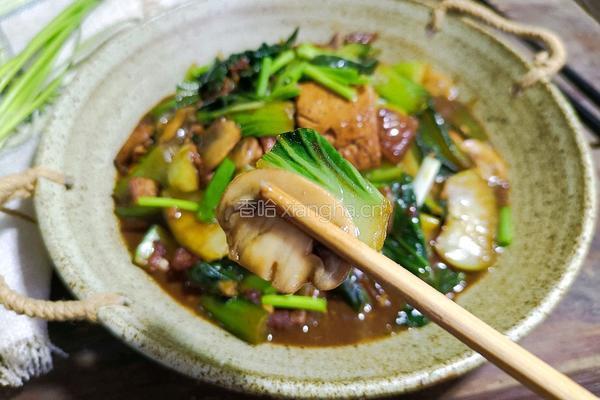口蘑豆腐炖白菜的做法图解14