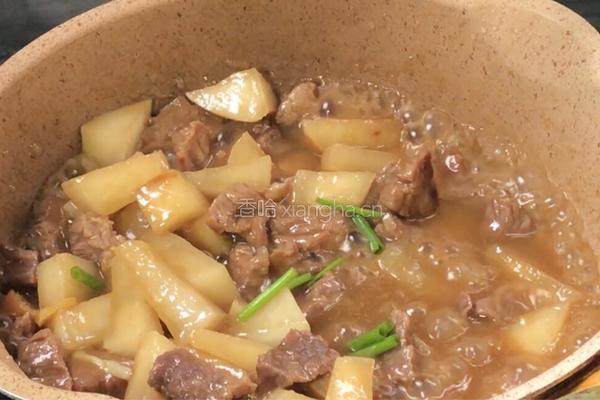 萝卜炖牛肉的做法图解10