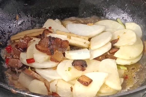 酱油肉炒萝卜片的做法图解7