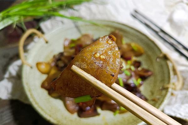 酱油肉炒萝卜片的做法图解10