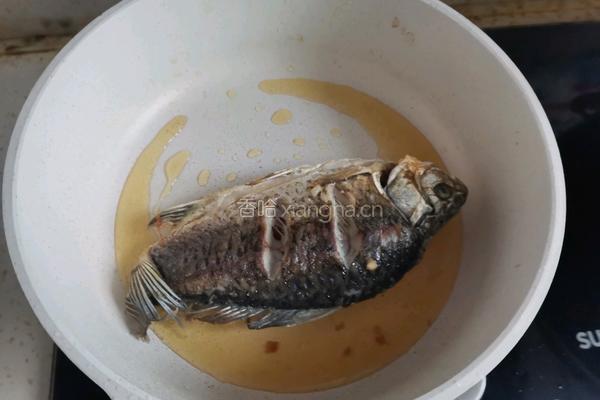 鲫鱼豆腐菌菇汤的做法图解4