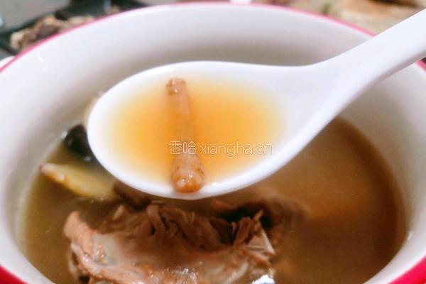甘草党参羊肉汤的做法图解10