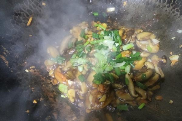 耗油香菇的做法图解8
