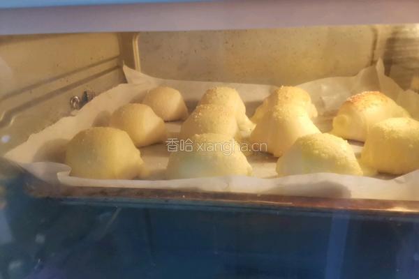 一口芝士小面包的做法图解17