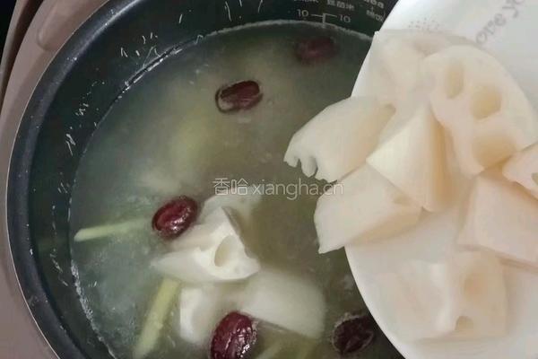 牛骨莲藕汤的做法图解11