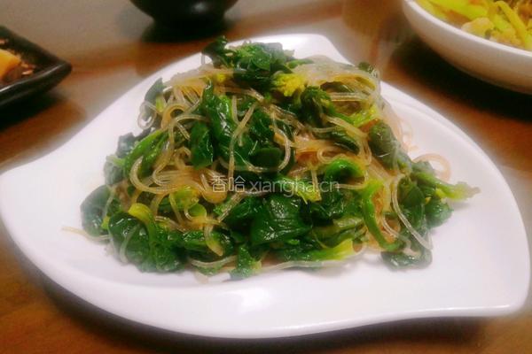 粉丝菠菜的做法图解9